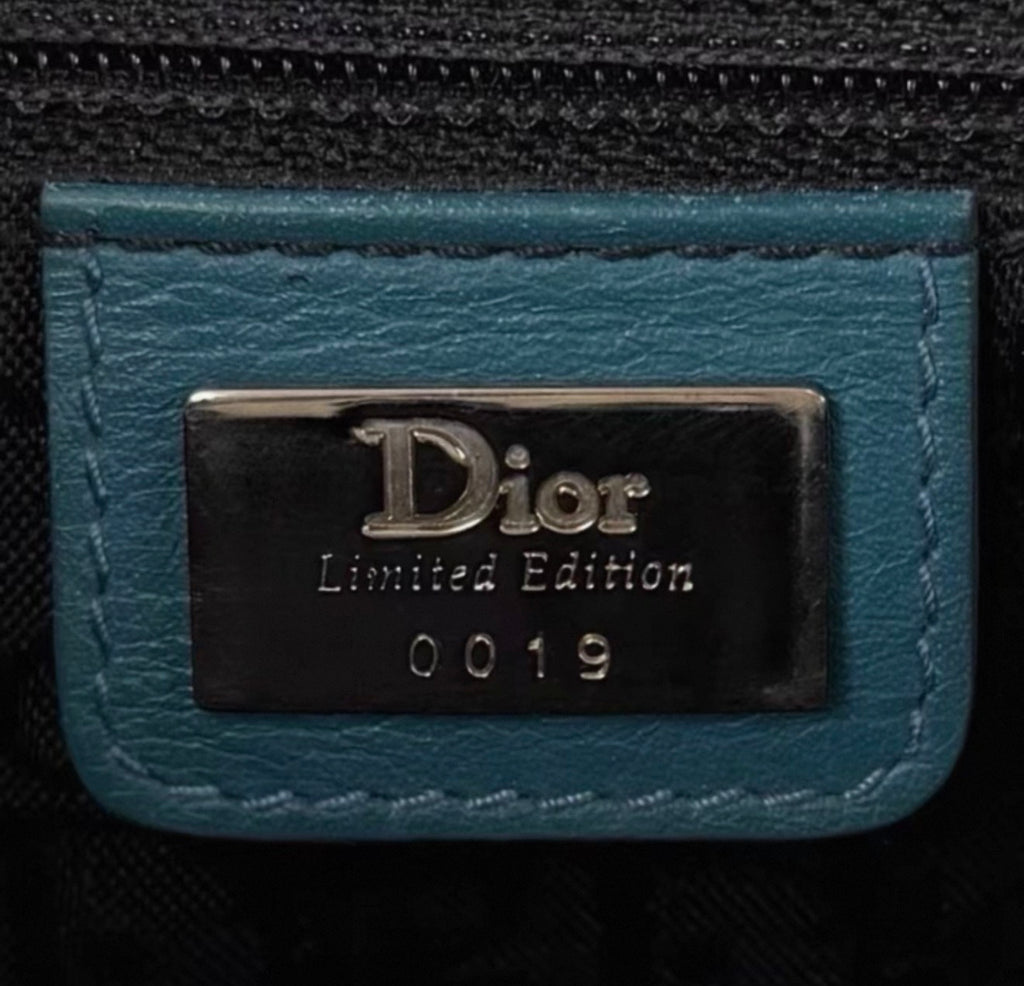 RARE Christian Dior 2004 Limited Edition Dior LovesJohn Columbus Street Chic Bag